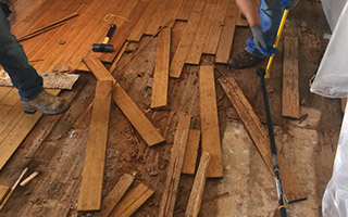 How to Prevent Mold on Hardwood Floors