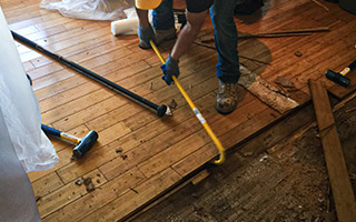 Exposing Mold under Hardwood Floors