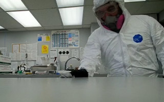 The Importance of Sanitizing