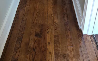 Do You Need a Full Sanding or a Buff & Coat for a Hardwood Floor